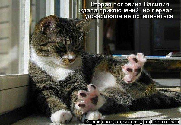 Вторая половина Василия ждала приключений, но первая уговаривала ее остепениться... Котоматрица: Вторая половина Василия ждала приключений, но первая уговаривала ее остепениться