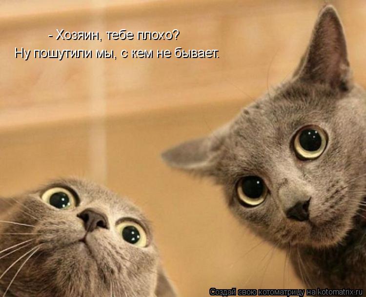 - Хозяин, тебе плохо? Ну пошутили мы, с кем не бывает.... Котоматрица: - Хозяин, тебе плохо? Ну пошутили мы, с кем не бывает.