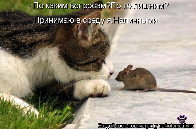 - По каким вопросам?По жилищним? Принимаю в среду я.Наличными... Котоматрица: - По каким вопросам?По жилищним? Принимаю в среду я.Наличными