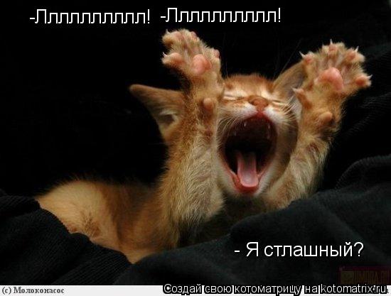 -Лллллллллл! -Лллллллллл! -Лллллллллл! - Я стлашный? - Я стлашный?... Котоматрица: -Лллллллллл! -Лллллллллл! -Лллллллллл! - Я стлашный? - Я стлашный?