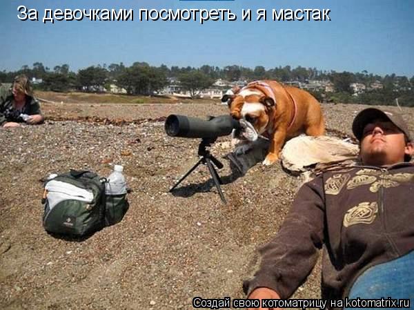 Котоматрица: За девочками посмотреть и я мастак