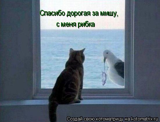 Котоматрица: Спасибо дорогая за мишу,  с меня рибка