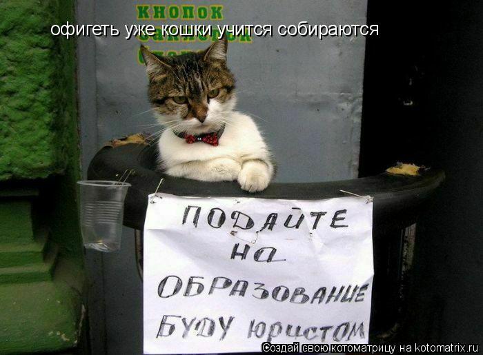офигеть уже кошки учится собираются... Котоматрица: офигеть уже кошки учится собираются