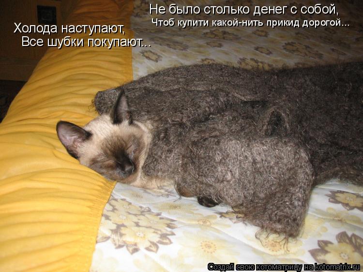 Холода наступают, Все шубки покупают... Не было столько денег с собой, Чтоб купити какой-нить прикид ... Котоматрица: Холода наступают, Все шубки покупают... Не было столько денег с собой, Чтоб купити какой-нить прикид дорогой...