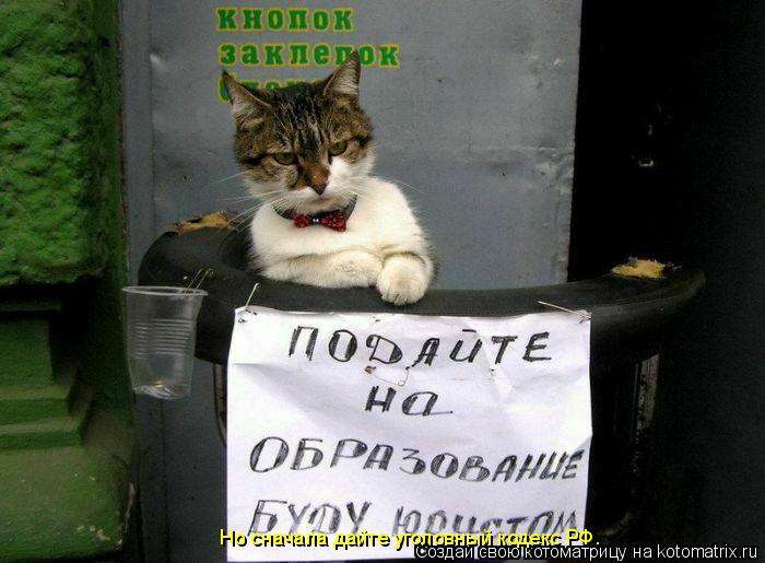 Но сначала дайте уголовный кодекс РФ.... Котоматрица: Но сначала дайте уголовный кодекс РФ.
