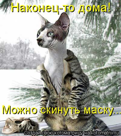 Наконец-то дома! Можно скинуть маску...... Котоматрица: Наконец-то дома! Можно скинуть маску...