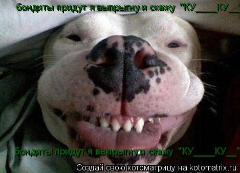 бондиты придут я выпрыгну и скажу "КУ____КУ__" бондиты придут я выпрыгну и скажу "КУ____КУ__"... Котоматрица: бондиты придут я выпрыгну и скажу "КУ____КУ__" бондиты придут я выпрыгну и скажу "КУ____КУ__"