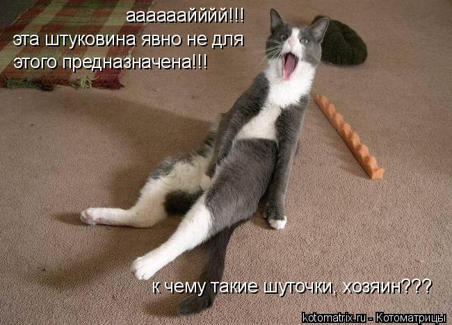 аааааайййй!!! эта штуковина явно не для этого предназначена!!! к чему такие шуточки, хозяин???... Котоматрица: аааааайййй!!! эта штуковина явно не для этого предназначена!!! к чему такие шуточки, хозяин???
