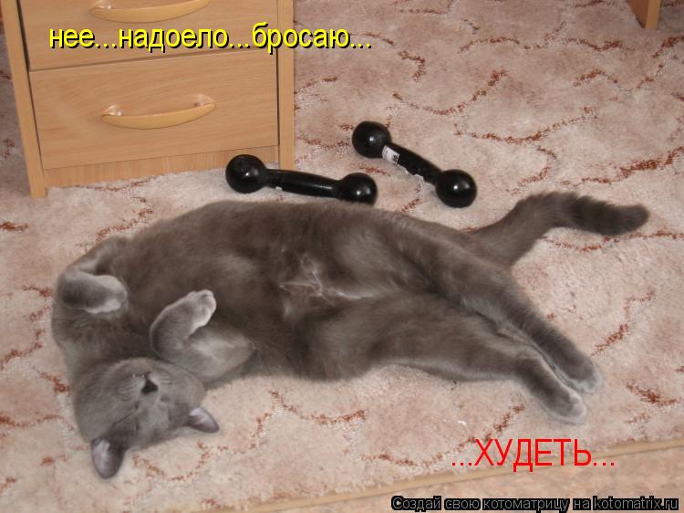 нее...надоело...бросаю... ...ХУДЕТЬ...... Котоматрица: нее...надоело...бросаю... ...ХУДЕТЬ...