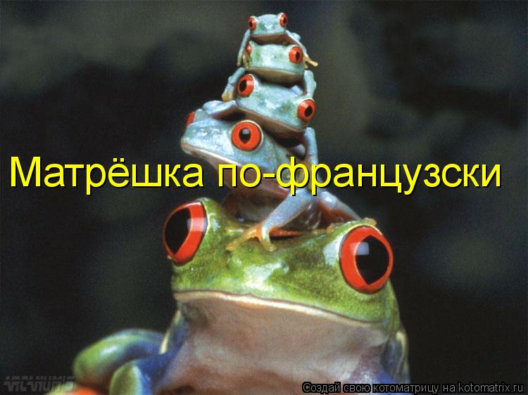 Котоматрица: Матрёшка по-французски