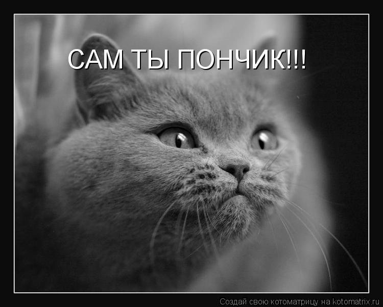 Котоматрица: САМ ТЫ ПОНЧИК!!!