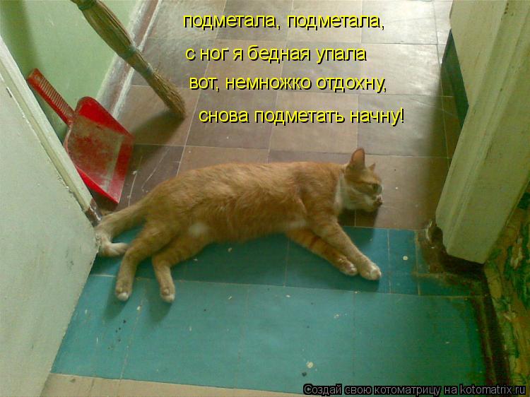 Котоматрица: подметала, подметала, с ног я бедная упала вот, немножко отдохну, снова подметать начну!