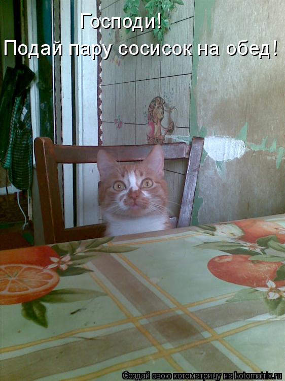 Котоматрица: Господи! Подай пару сосисок на обед!