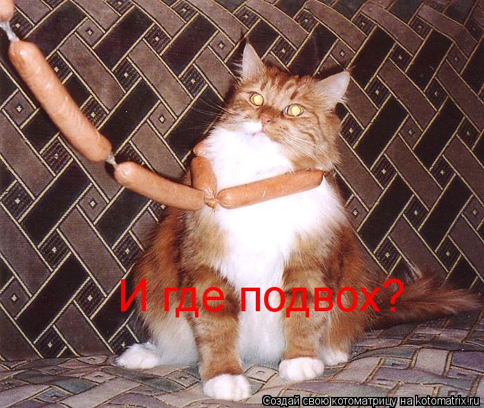 Котоматрица: И где подвох?