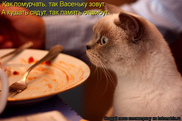 Котоматрица: Как помурчать, так Васеньку зовут, А кушать сядут, так память отшибут...