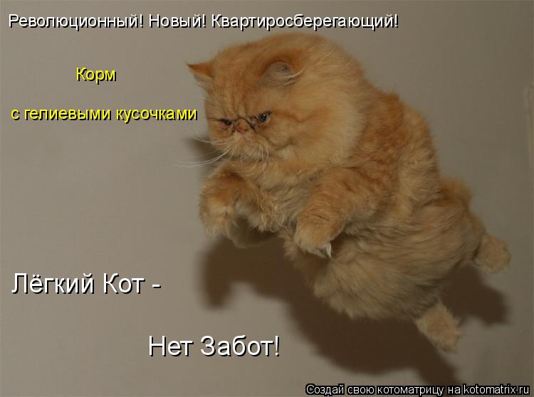 Котоматрица: Лёгкий Кот - Нет Забот! с гелиевыми кусочками Революционный! Новый! Квартиросберегающий! Корм