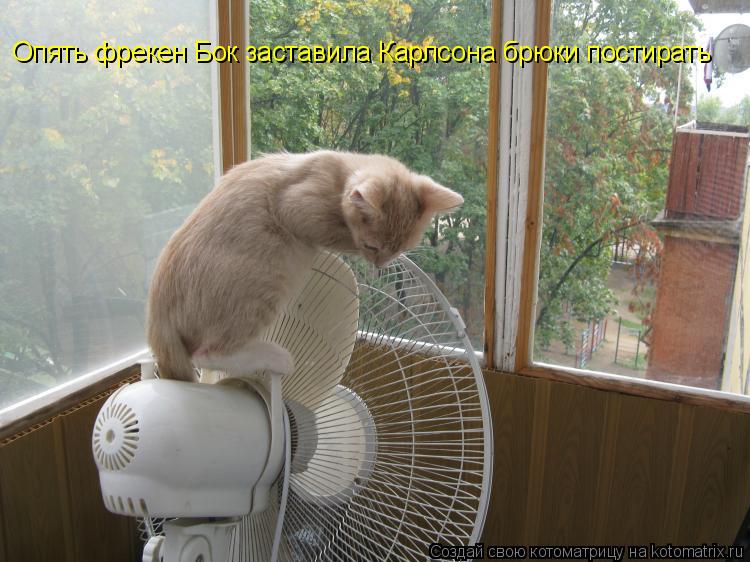 Опять фрекен Бок заставила Карлсона брюки постирать... Котоматрица: Опять фрекен Бок заставила Карлсона брюки постирать