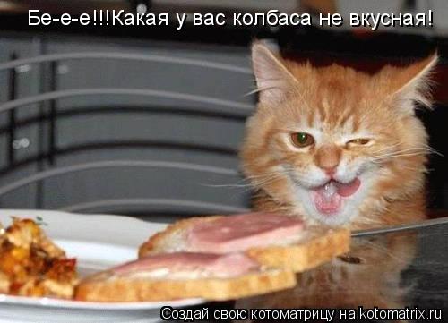 Бе-е-е!!!Какая у вас колбаса не вкусная!... Котоматрица: Бе-е-е!!!Какая у вас колбаса не вкусная!