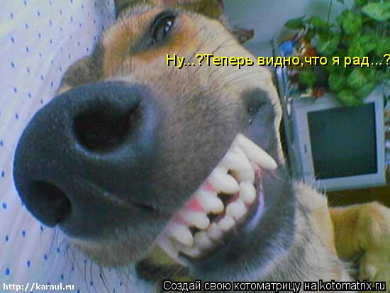 Ну...?Теперь видно,что я рад...?... Котоматрица: Ну...?Теперь видно,что я рад...?