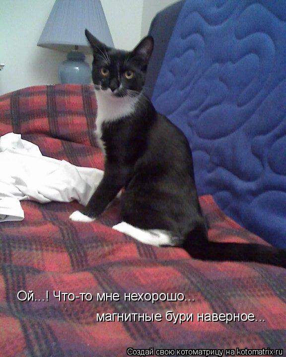 Котоматрица: Ой...! Что-то мне нехорошо... магнитные бури наверное...
