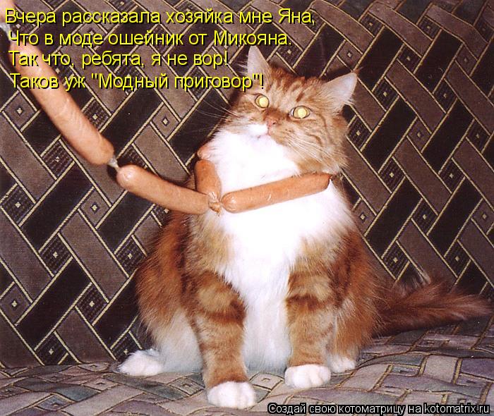 Вчера рассказала хозяйка мне Яна, Что в моде ошейник от Микояна. Так что, ребята, я не вор! Таков уж ... Котоматрица: Вчера рассказала хозяйка мне Яна, Что в моде ошейник от Микояна. Так что, ребята, я не вор! Таков уж "Модный приговор"!