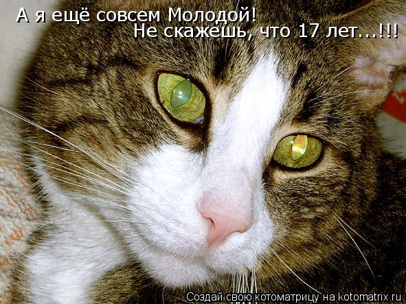 Котоматрица: А я ещё совсем Молодой!  Не скажешь, что 17 лет...!!!
