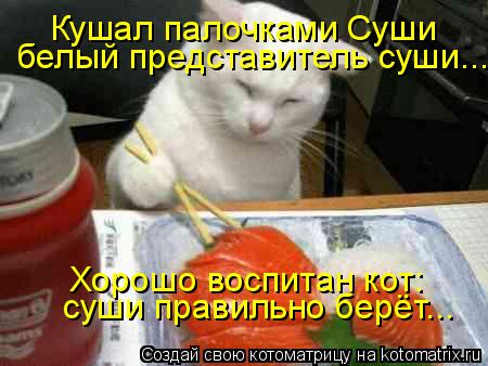Котоматрица: Кушал палочками Суши белый представитель суши... Хорошо воспитан кот: суши правильно берёт...