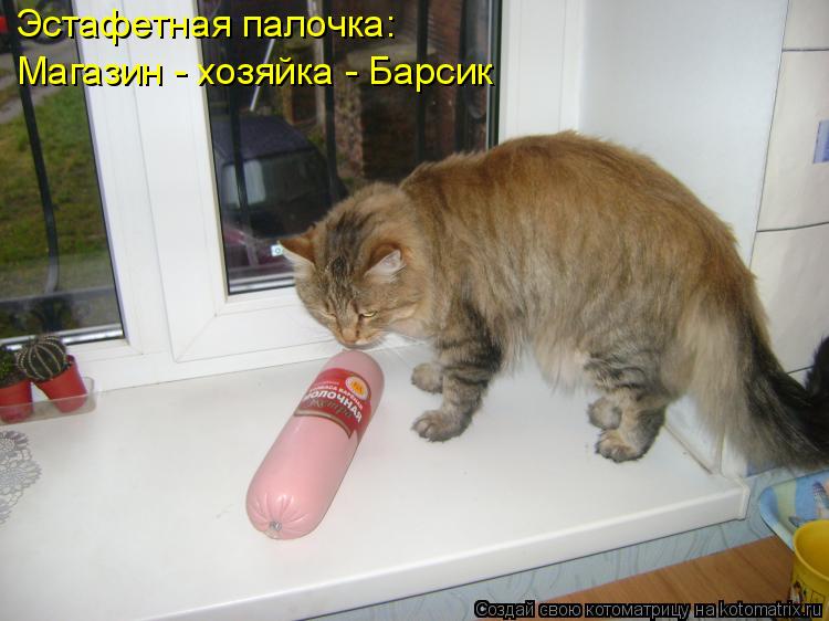 Котоматрица: Эстафетная палочка: Магазин - хозяйка - Барсик