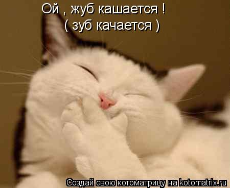 Ой , жуб кашается ! ( зуб качается )... Котоматрица: Ой , жуб кашается ! ( зуб качается )