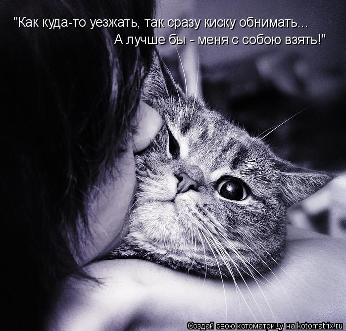 "Как куда-то уезжать, так сразу киску обнимать... А лучше бы - меня с собою взять!"... Котоматрица: "Как куда-то уезжать, так сразу киску обнимать... А лучше бы - меня с собою взять!"