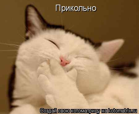Котоматрица: Прикольно