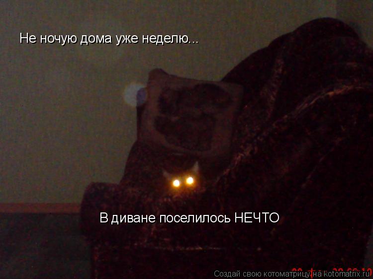 Котоматрица: Не ночую дома уже неделю... В диване поселилось НЕЧТО