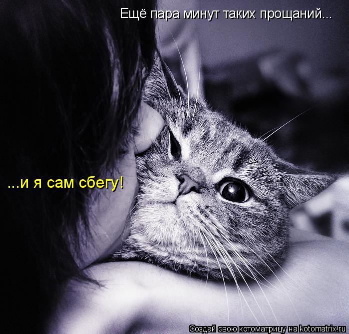 Котоматрица: Ещё пара минут таких прощаний... ...и я сам сбегу!