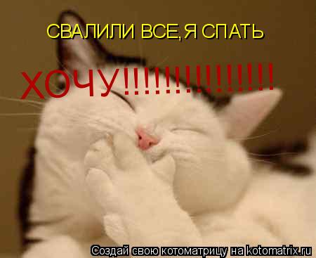 Котоматрица: СВАЛИЛИ ВСЕ,Я СПАТЬ ХОЧУ!!!!!!!!!!!!!!!