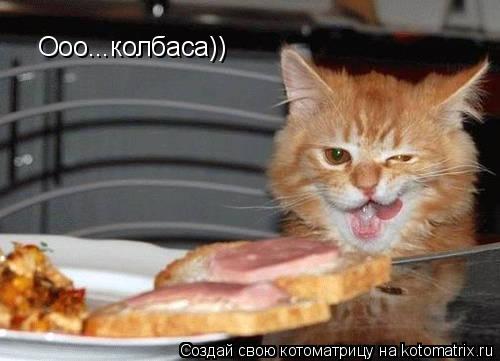 Ооо...колбаса))... Котоматрица: Ооо...колбаса))