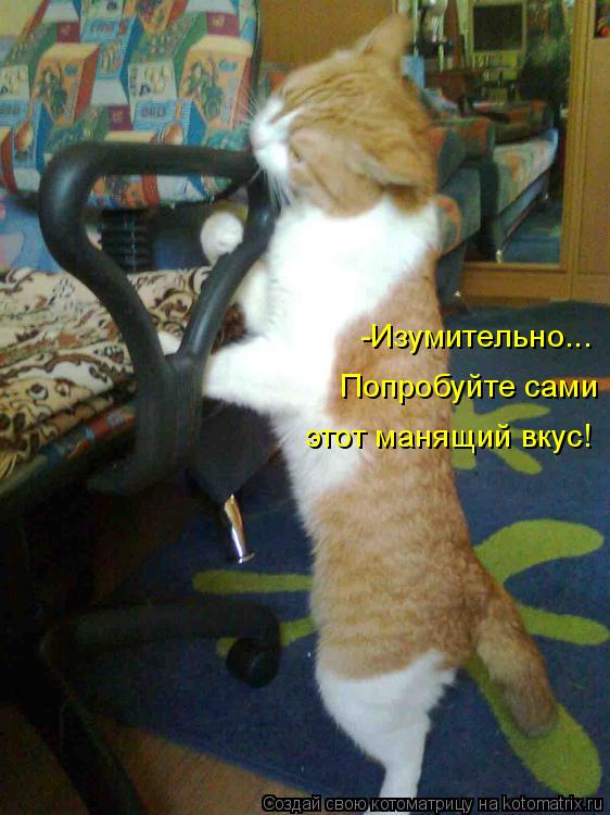 -Изумительно... Попробуйте сами этот манящий вкус!... Котоматрица: -Изумительно... Попробуйте сами этот манящий вкус!