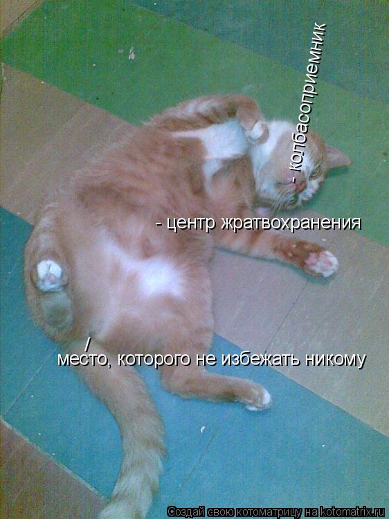 Котоматрица: - колбасоприемник - центр жратвохранения место, которого не избежать никому  /