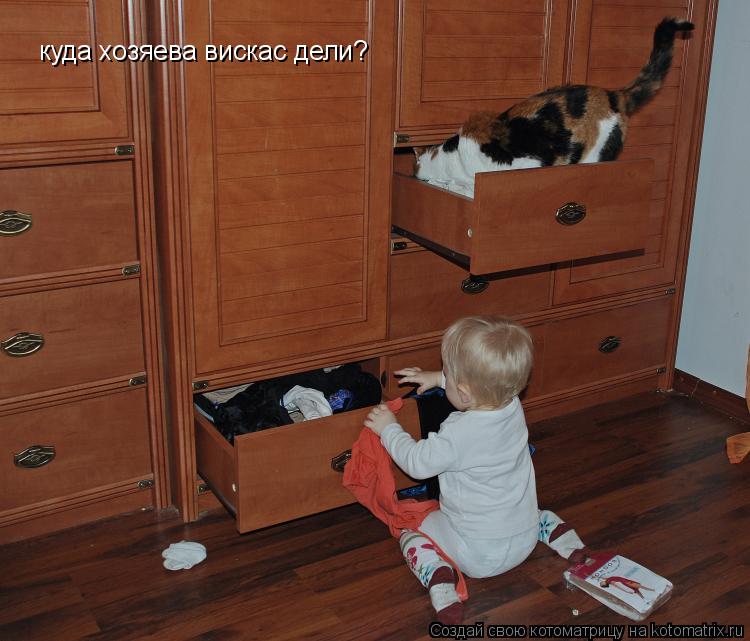 Котоматрица: куда хозяева вискас дели?