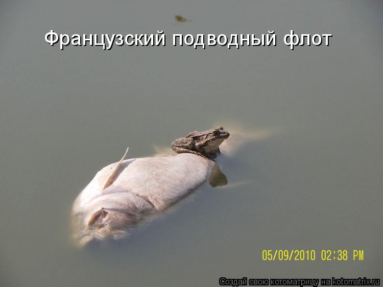 Котоматрица: Французский подводный флот