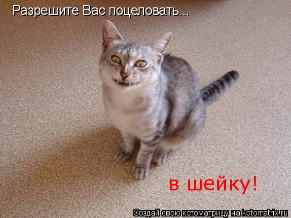 Котоматрица: Разрешите Вас поцеловать... в шейку!