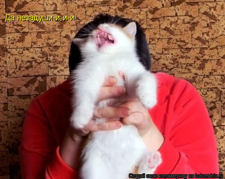 Котоматрица: Да незадуши-и-и-и!