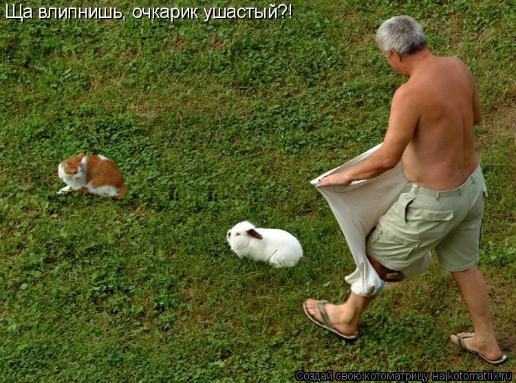 Ща влипнишь, очкарик ушастый?!... Котоматрица: Ща влипнишь, очкарик ушастый?!