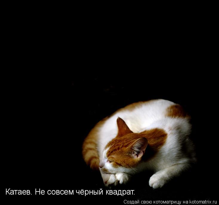 Котоматрица: Катаев. Не совсем чёрный квадрат.