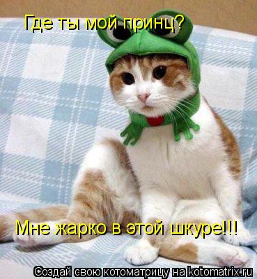 Котоматрица: Где ты мой принц?  Мне жарко в этой шкуре!!!