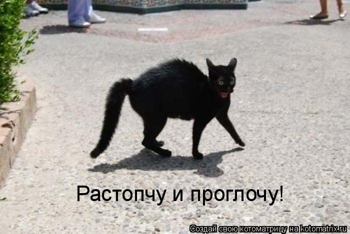 Котоматрица: Растопчу и проглочу!