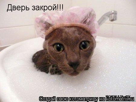 Котоматрица: Дверь закрой!!!