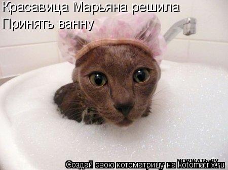 Котоматрица: Красавица Марьяна решила Принять ванну