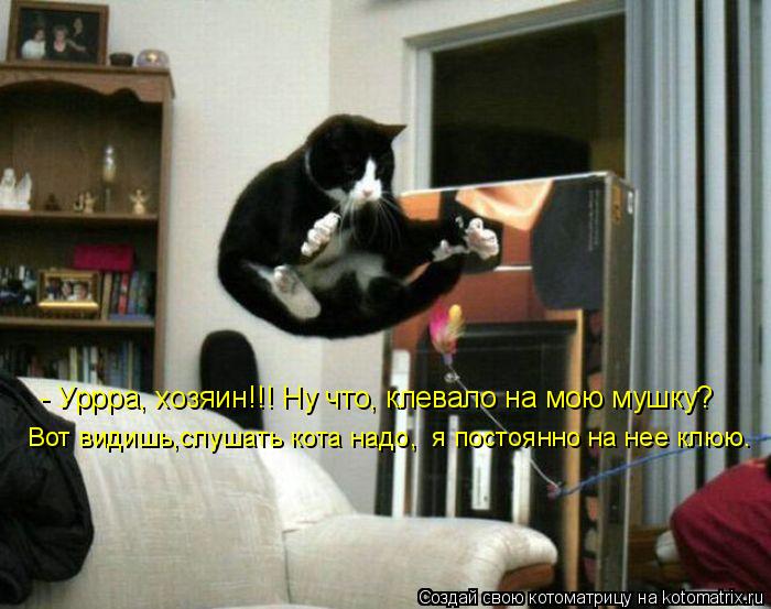 - Уррра, хозяин!!! Ну что, клевало на мою мушку? Вот видишь,слушать кота надо, я постоянно на нее к... Котоматрица: - Уррра, хозяин!!! Ну что, клевало на мою мушку? Вот видишь,слушать кота надо, я постоянно на нее клюю.