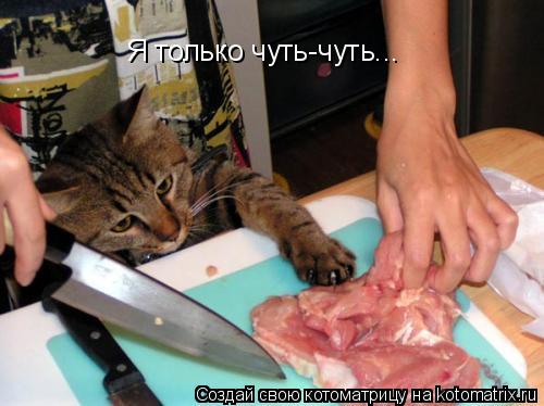 Котоматрица: Я только чуть-чуть...