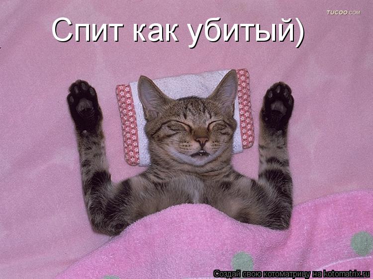 Котоматрица: Спит как убитый)